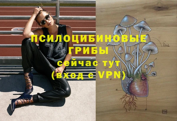 гидра Лихославль