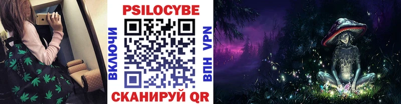 где купить наркоту  Алапаевск  Псилоцибиновые грибы мухоморы 